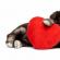 Możliwe przyczyny i objawy zawału serca u psów Karmienie psa po zawale serca