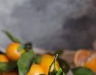 Tangerine jam: simpleng hakbang-hakbang na mga recipe
