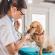 Bagaimana klinik veterinar berfungsi - penjagaan veterinar di rumah