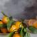 Варенье из мандаринов: простые пошаговые рецепты